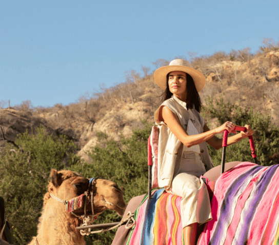 A Lifestyle for Every Taste