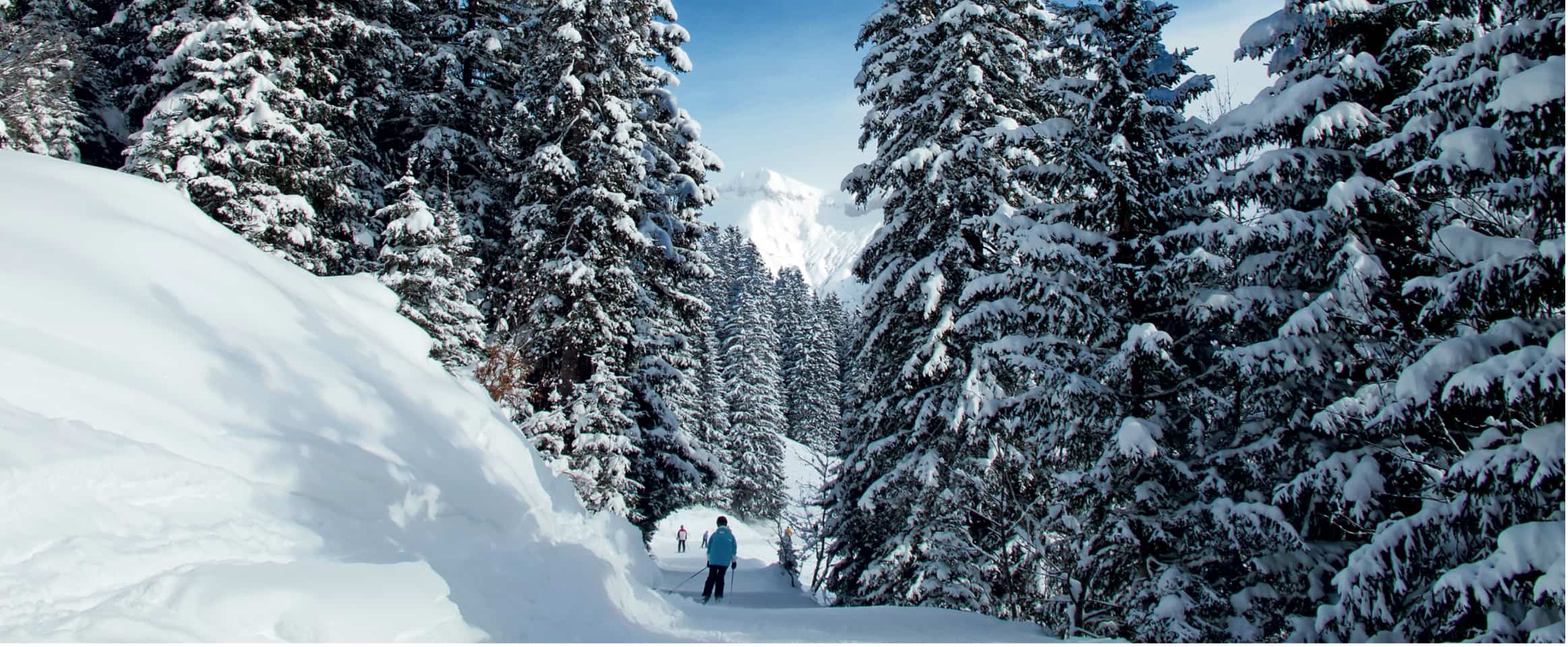 Where you please - Ski Slopes